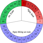 Cách tính ngày rụng trứng