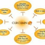 Nghệ Nano Curcumin có chữa trị khỏi được đau dạ dày?