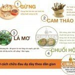 10 cách chữa bệnh đau dạ dày bằng phương pháp dân gian
