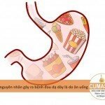 Nguyên nhân bị đau dạ dày chủ yếu do ăn uống